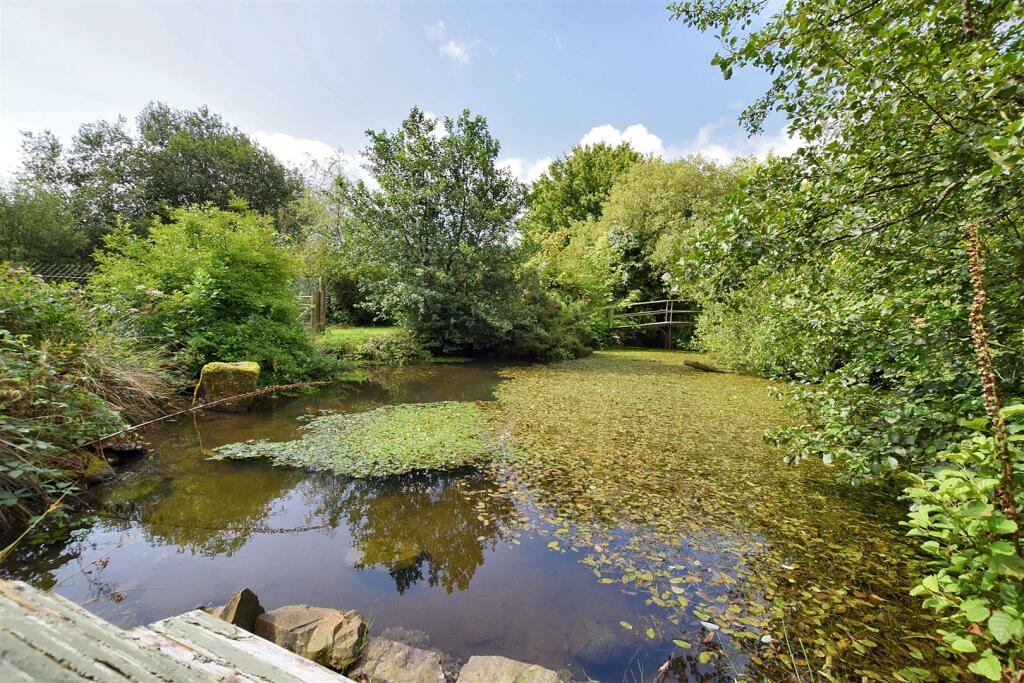 Wildlife Pond &amp; Lake