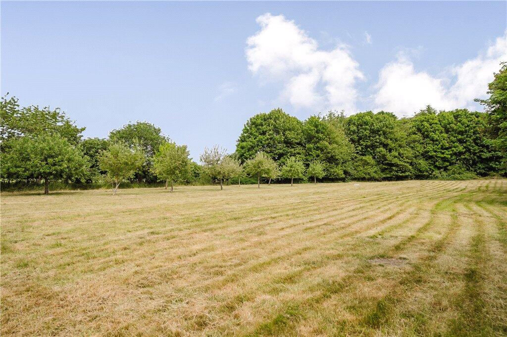 Orchard &amp; Meadow