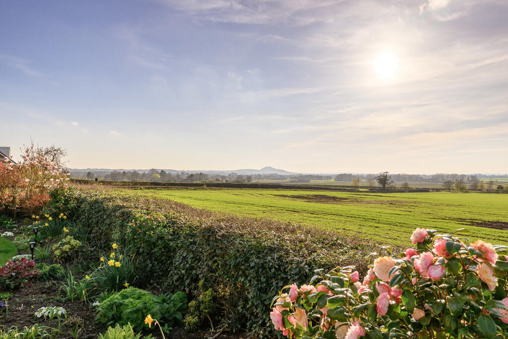 Countryside Views...