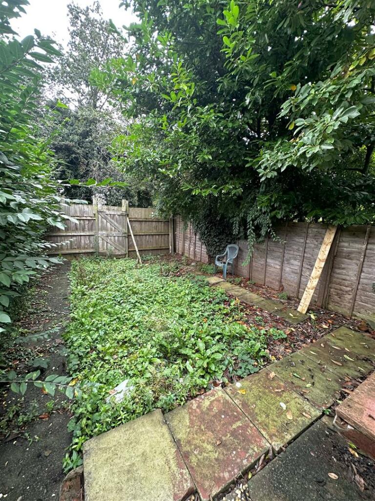 Garden.jpg