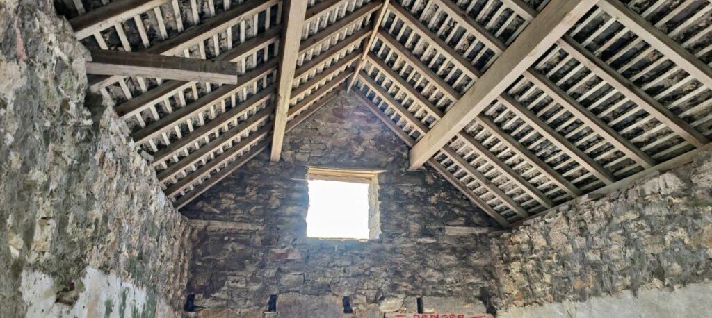 12321290-cff1-4c75-9519-161100fe.jpg