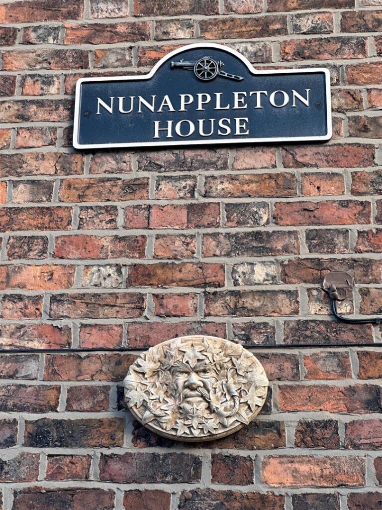 image5.jpg