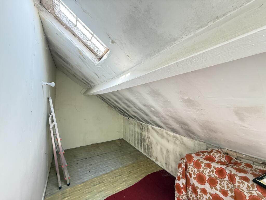 IMG 1168 T202508141342.jpg