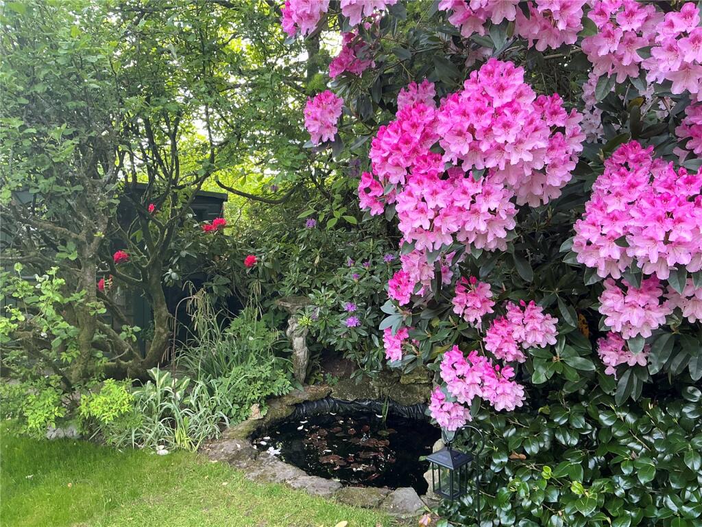 Homeowner Image
