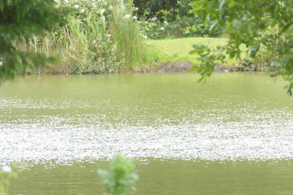 One of site fishing lakes.jpeg