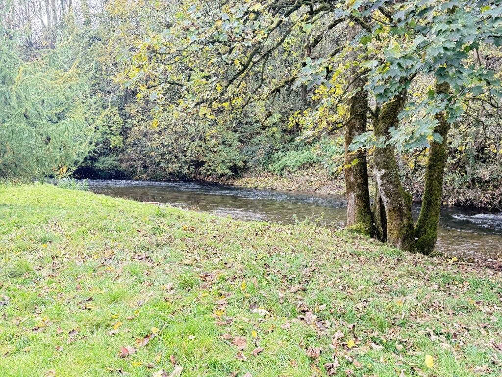 IMG 1734 T202510301636.jpg