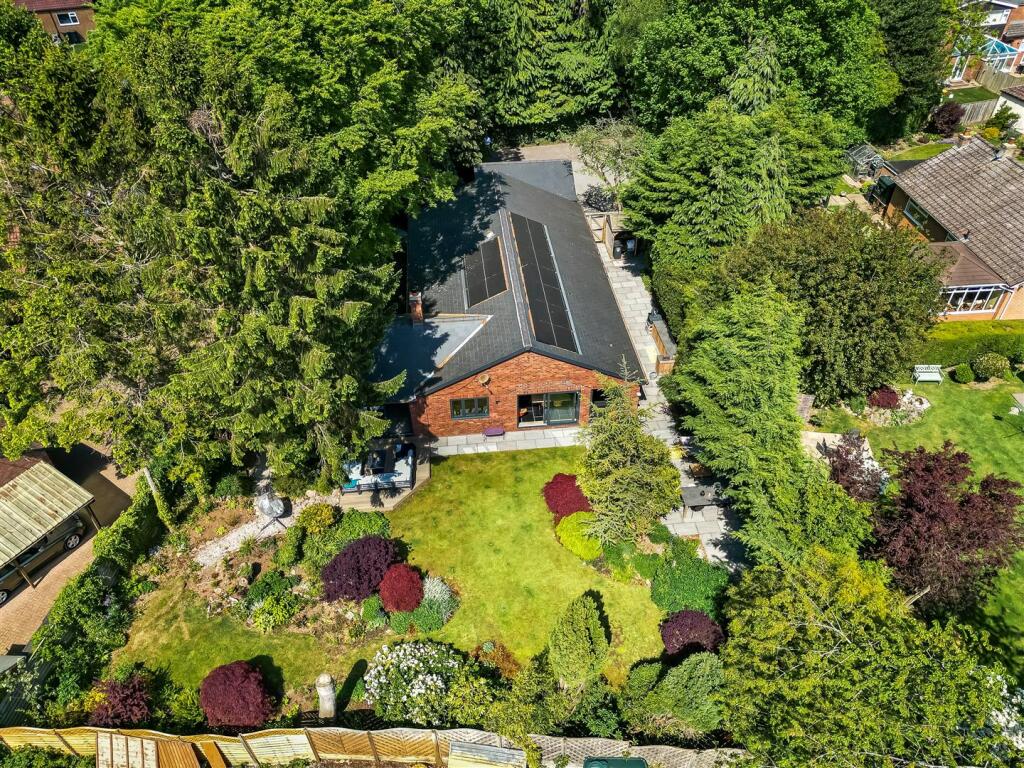 DJI_0402.jpg