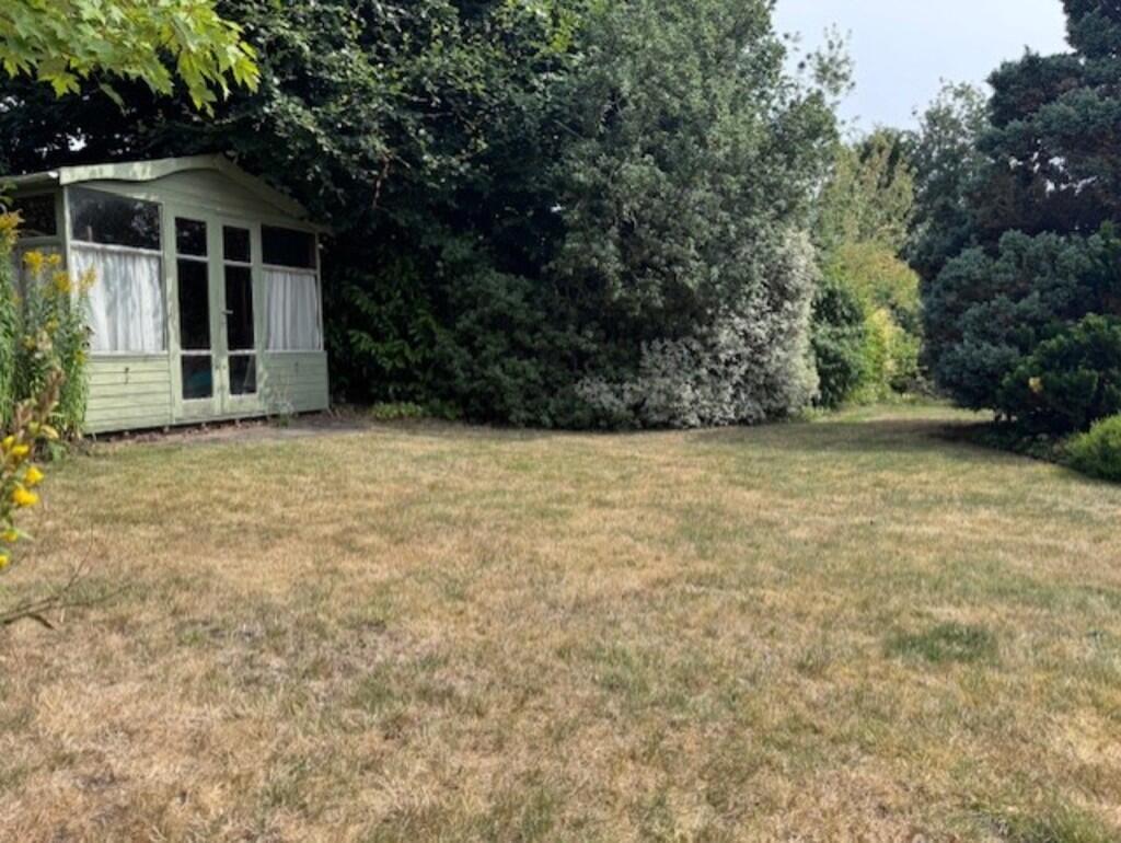 garden 5