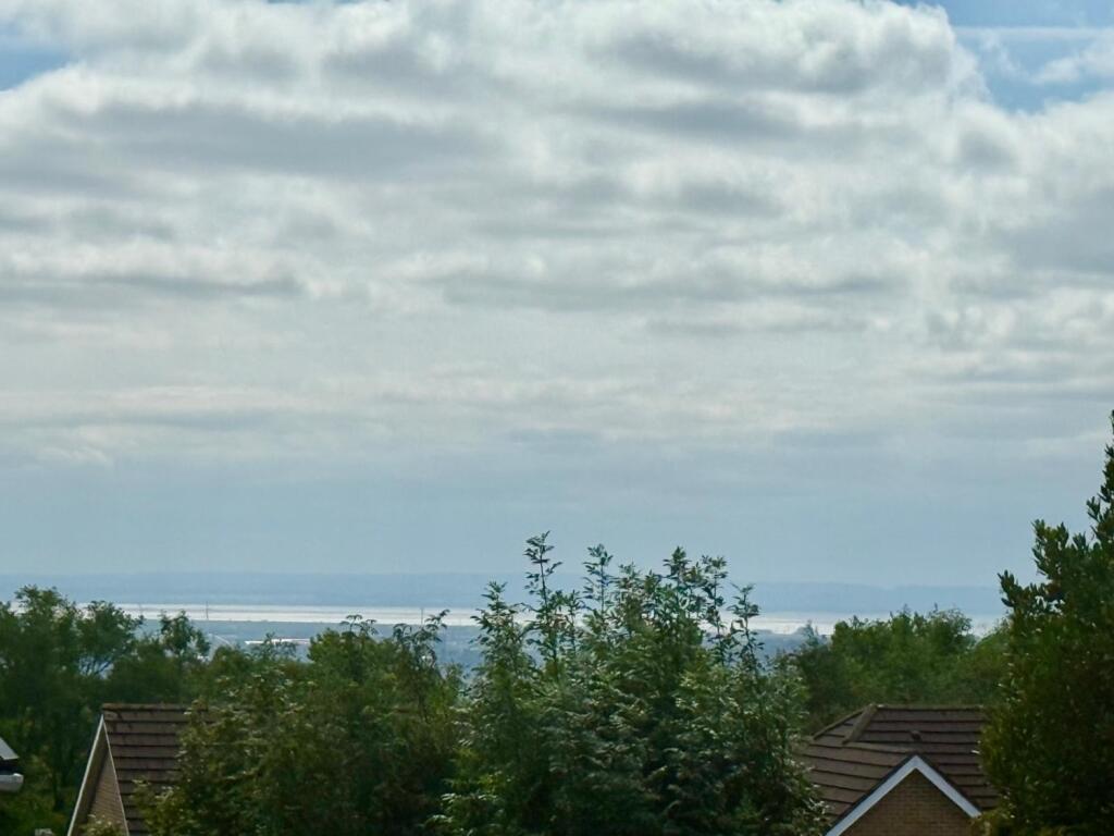 PHOTO-2025-08-08-14-46-37 13