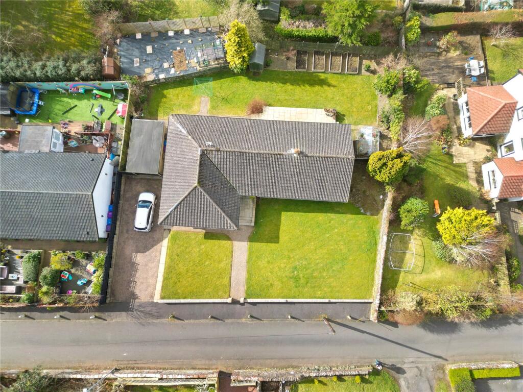 Aerial Image