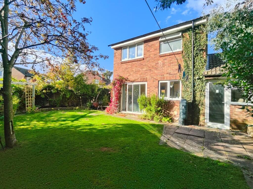 IMG20241003153821 (1).jpg