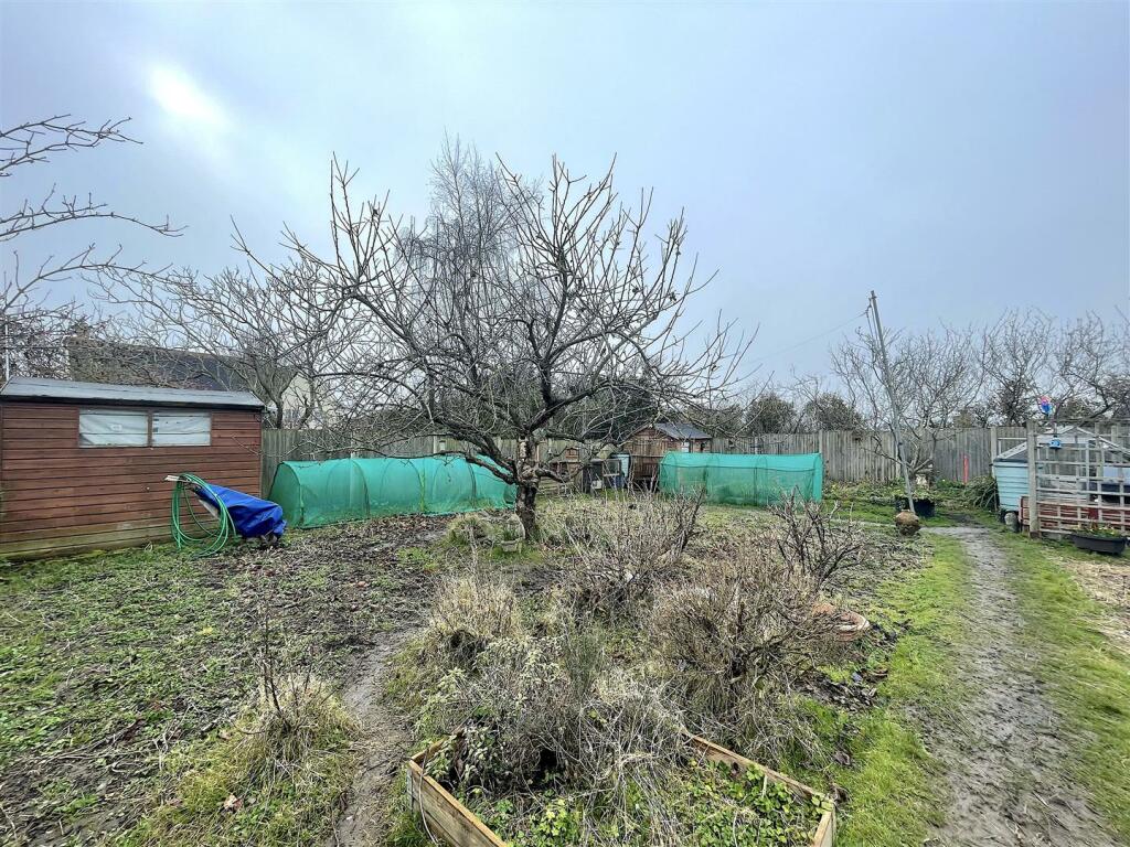 Garden (7).jpeg