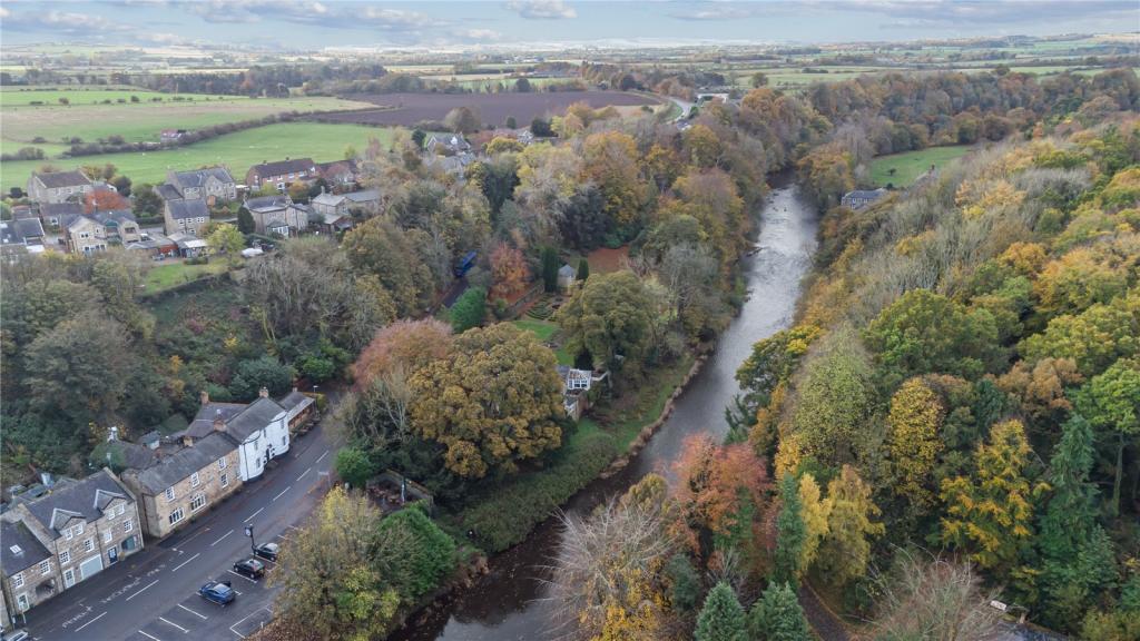 River In Felton