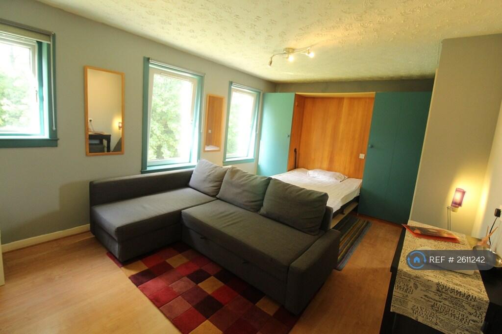 Living Room With Murphy Bed Open