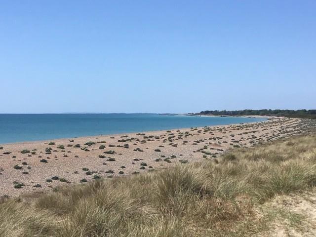 West beach.jpg