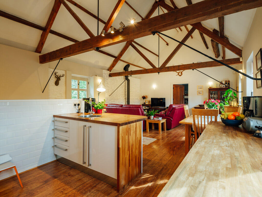 Kitchen / Living Area