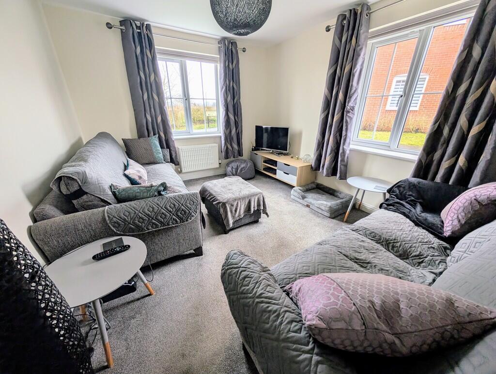 PXL_20250212_1103...