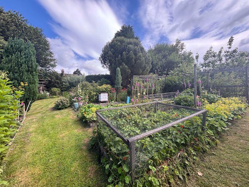 Vegetable Garden