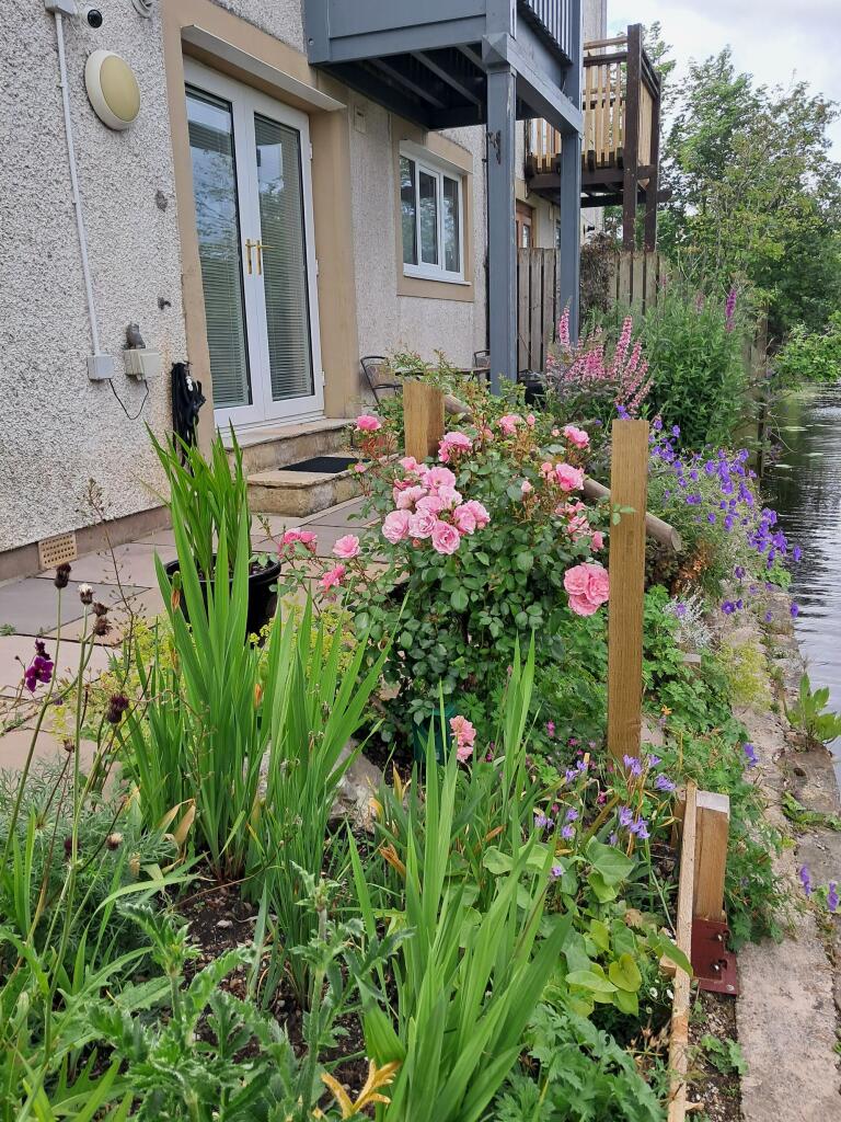 Flower bedding along the front