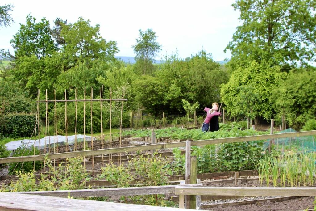 Vegetable Garden