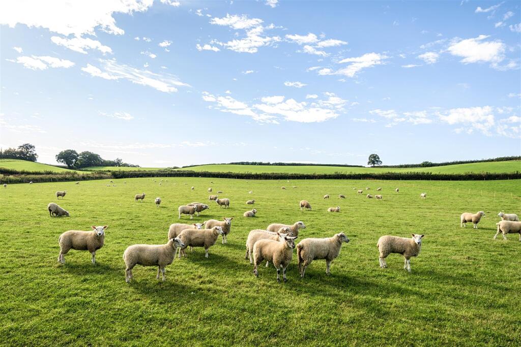 Page 4 left bottom small 1358564-13-68dc1601a6a97.