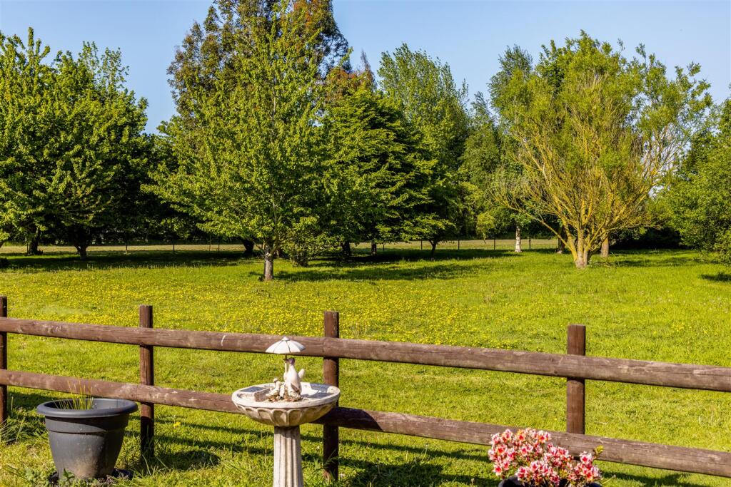 Wisteria (Friskney)-11.jpg