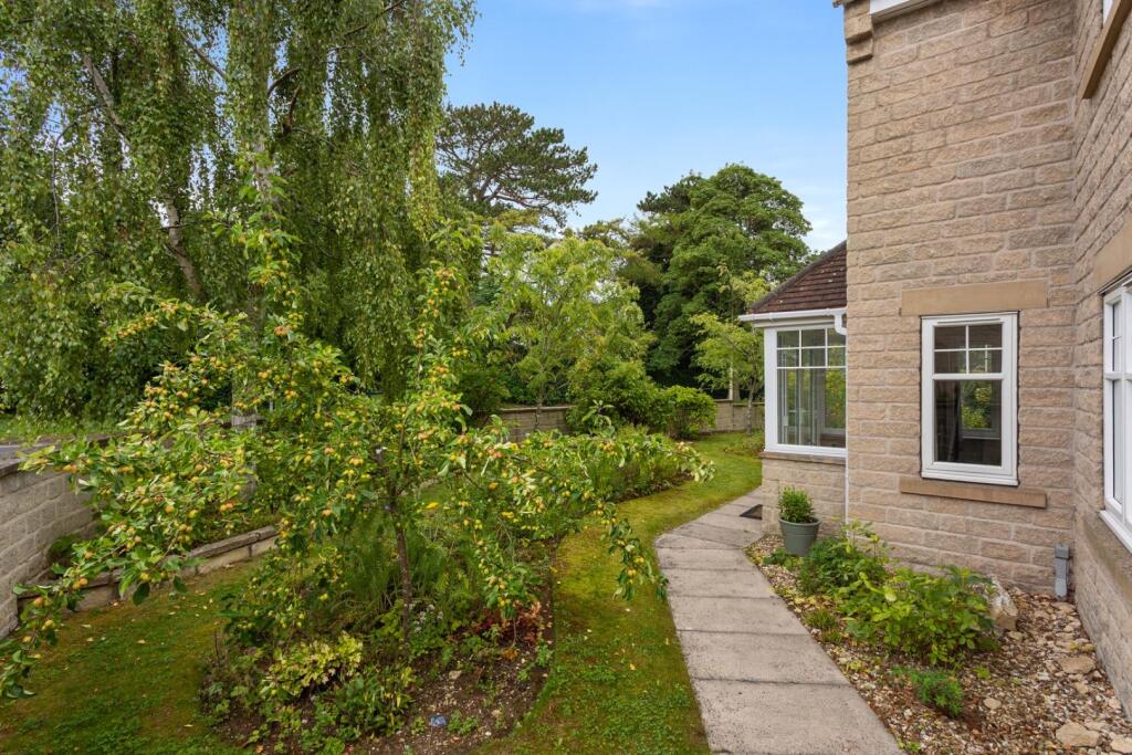 Fitzwilliam Drive-22.jpg