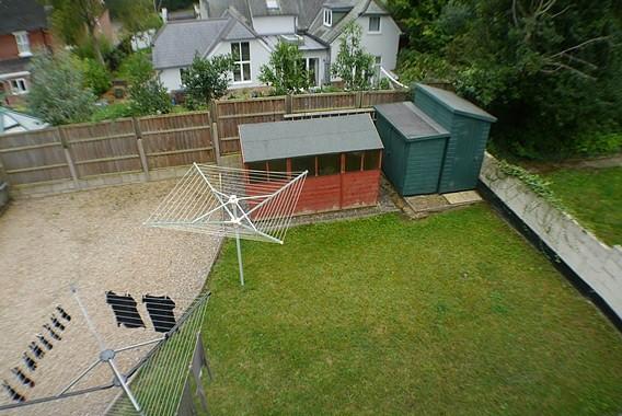 Garden with Two Gree