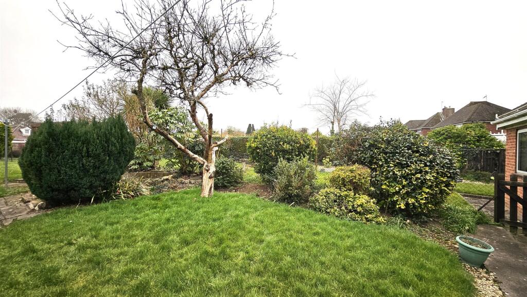 Garden 4.jpg