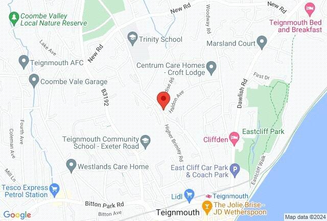 Google Maps Image