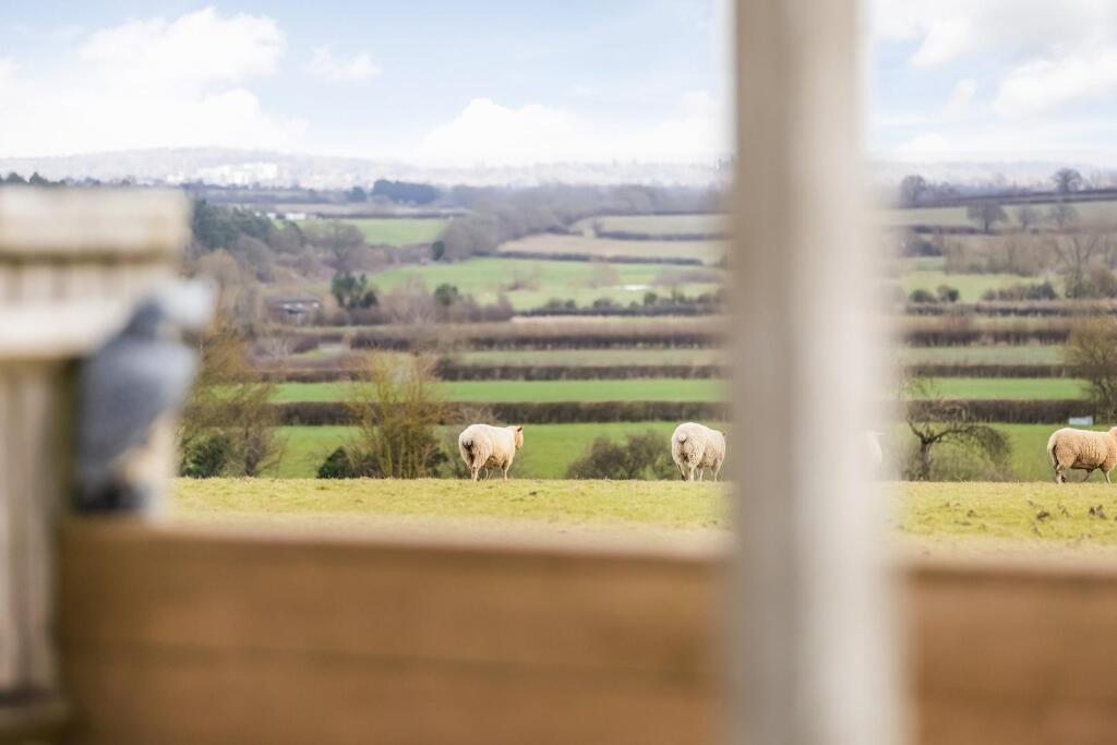 GLIMPSE OF A VIEW.jpg