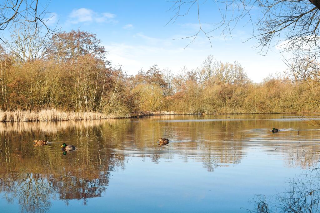 Martins Pond