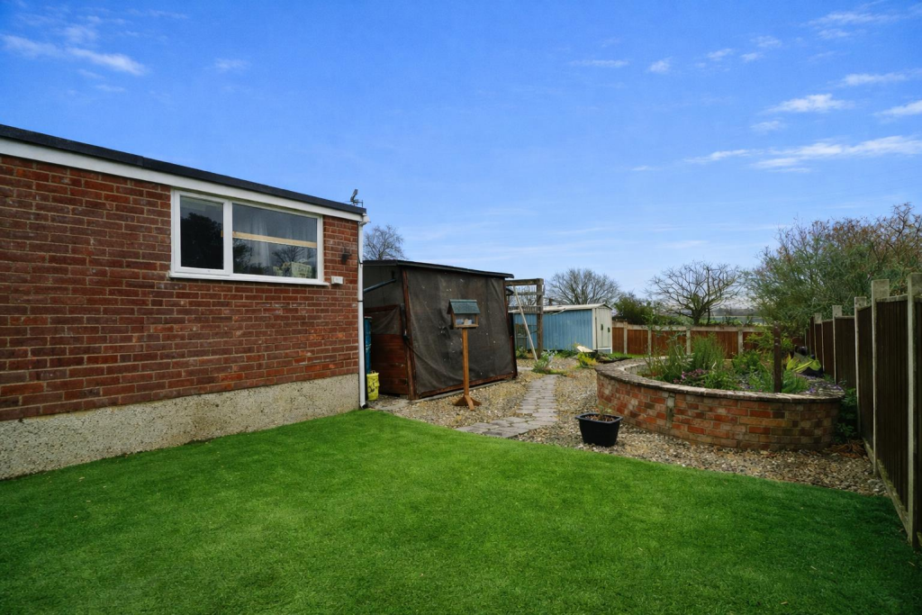 Back garden