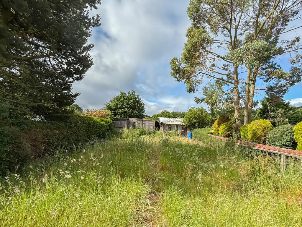 IMG 9913 T202506271054.jpg