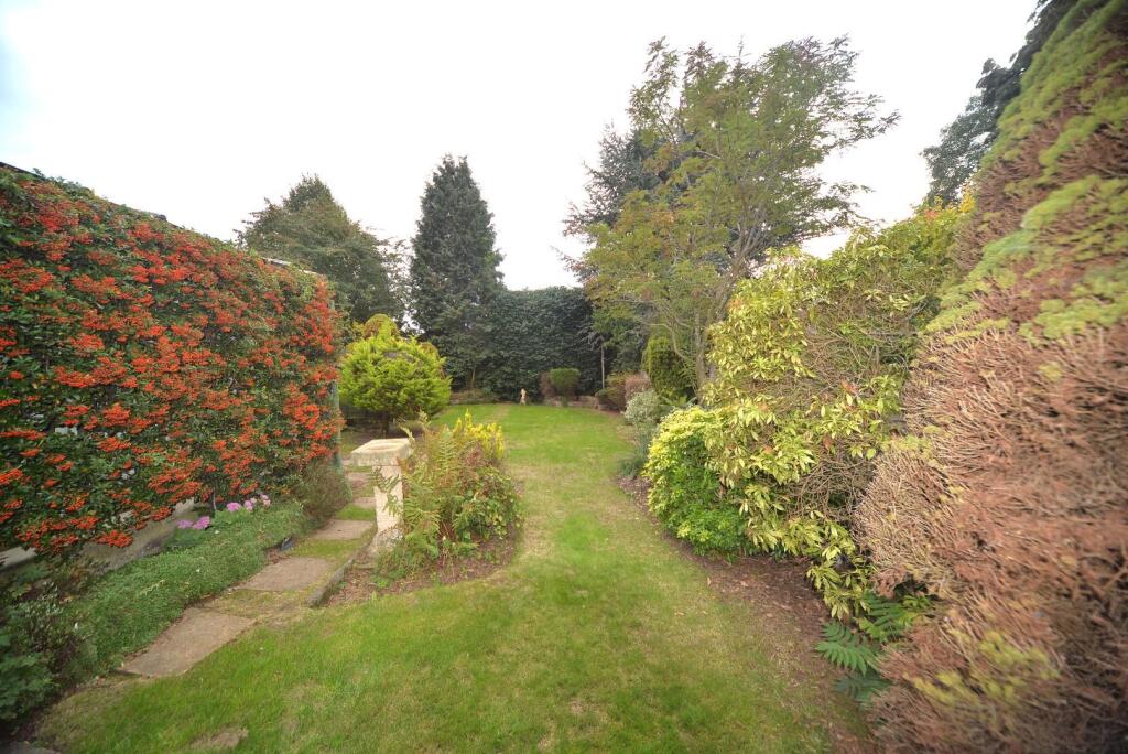 Garden 1.JPG