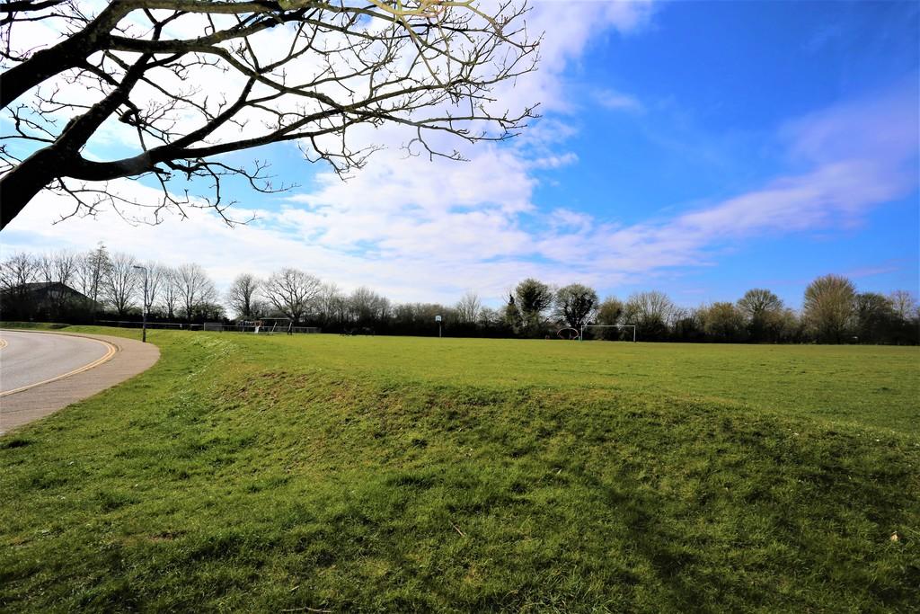 Nearby field and ...