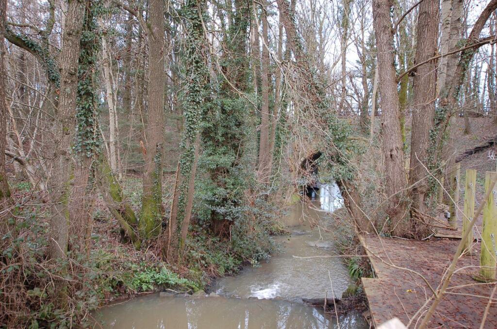 DSC_0040.JPG