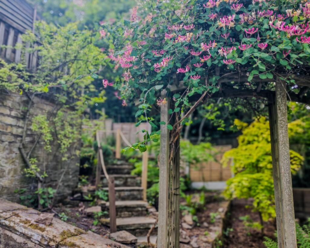 Rear Garden Archway