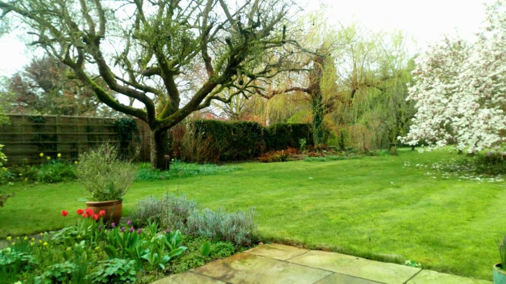 Springtime garden