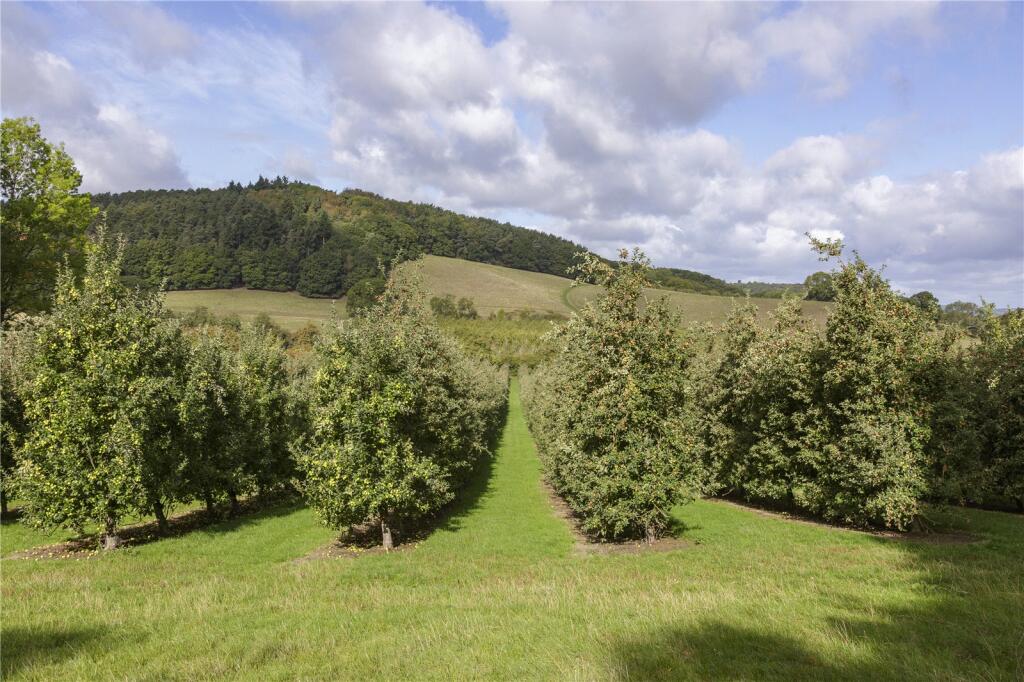 Orchards