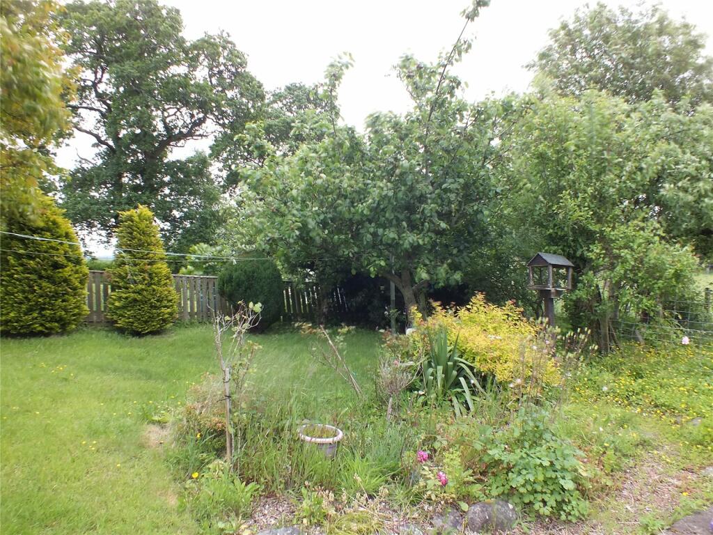 Garden Area