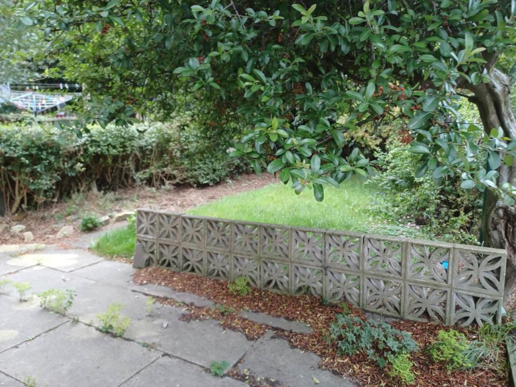 Back Garden
