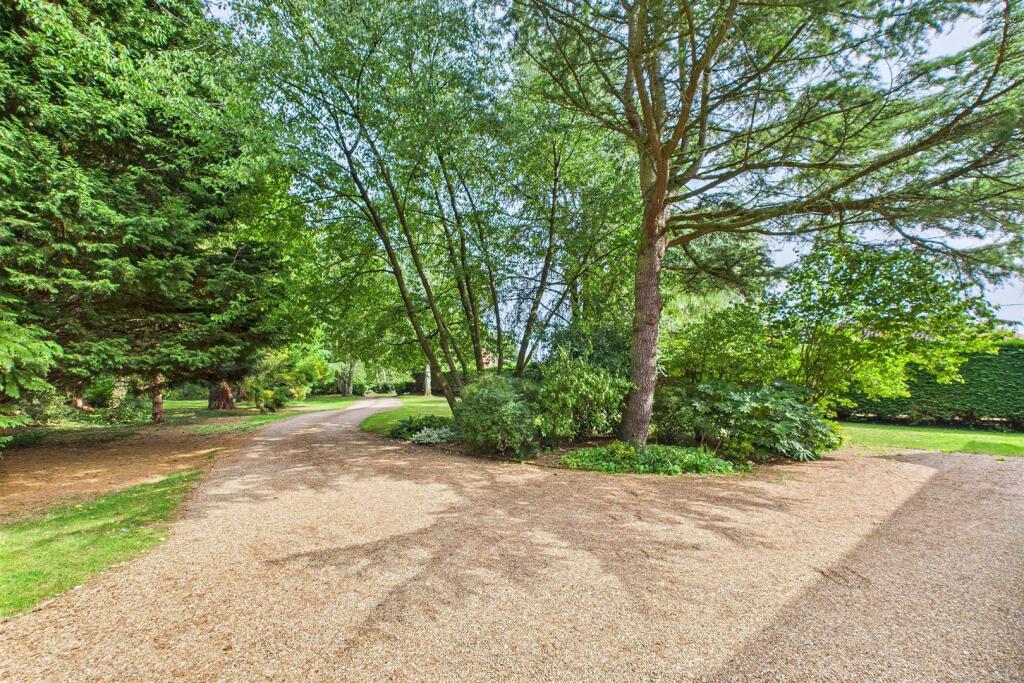 Driveway