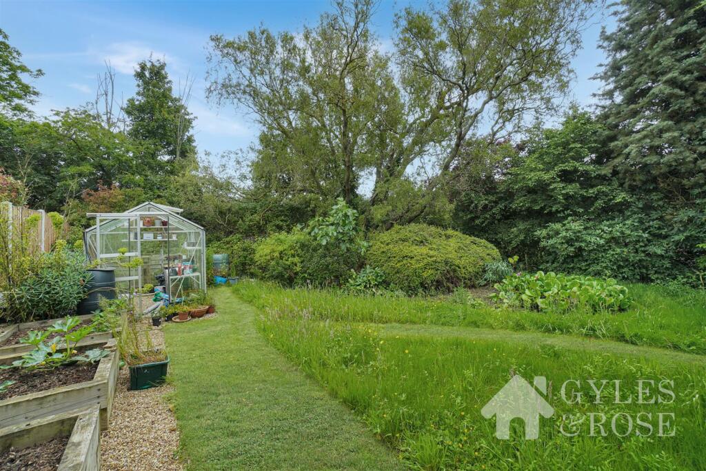 Back garden