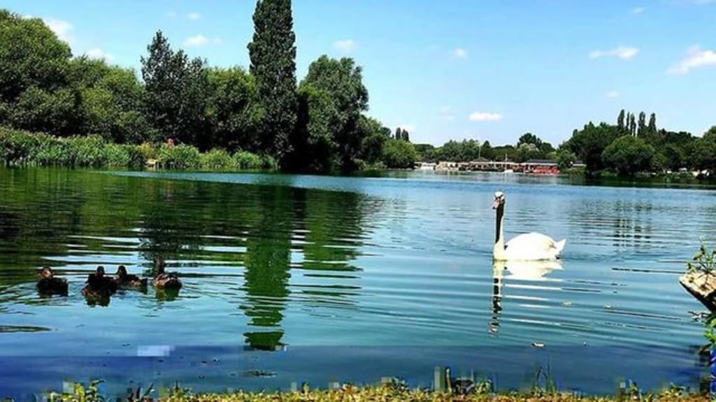 Stanborough Lakes