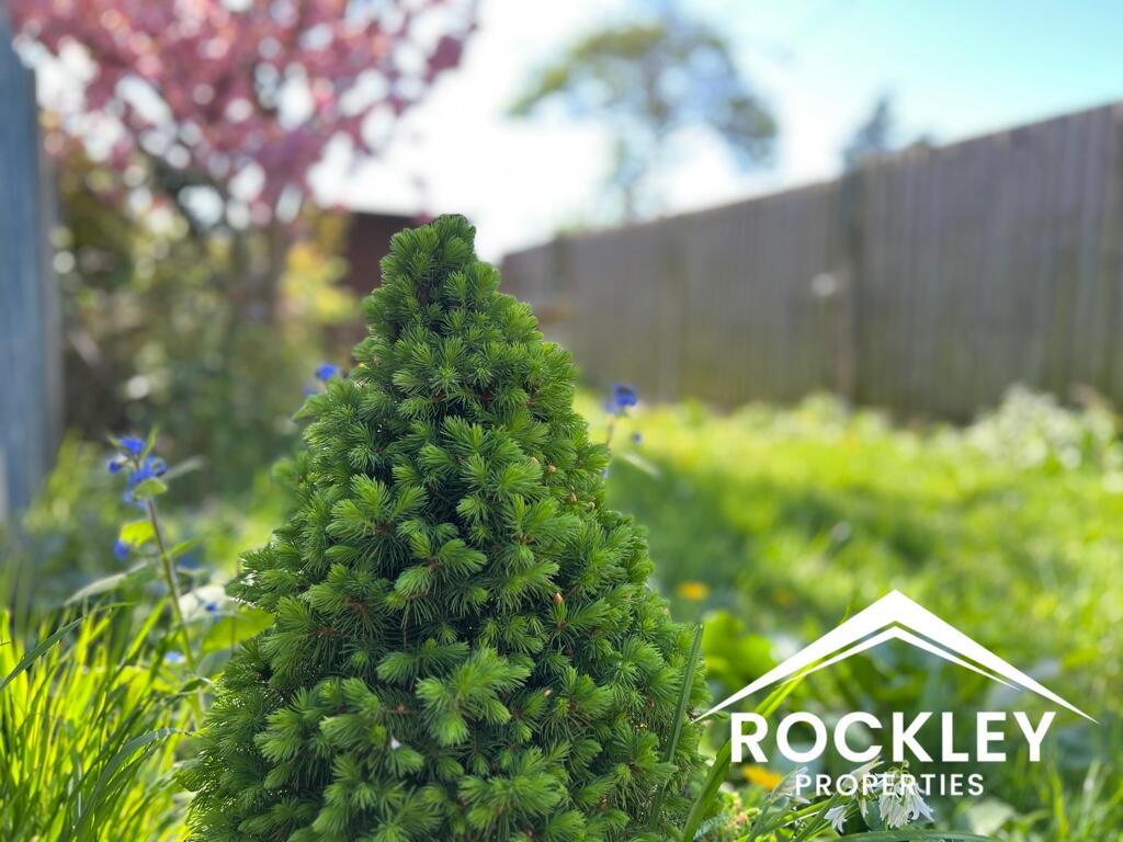 Rear Garden Close Up