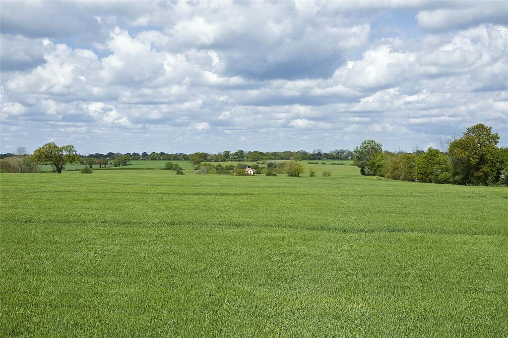 Land