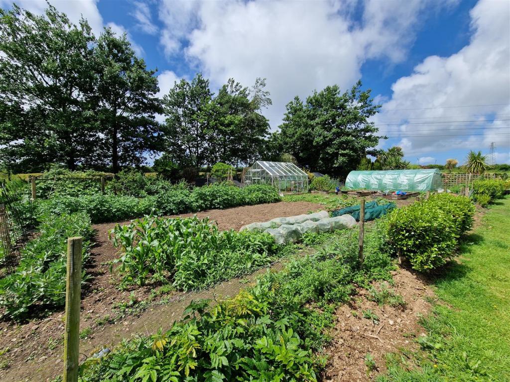 Kitchen Garden