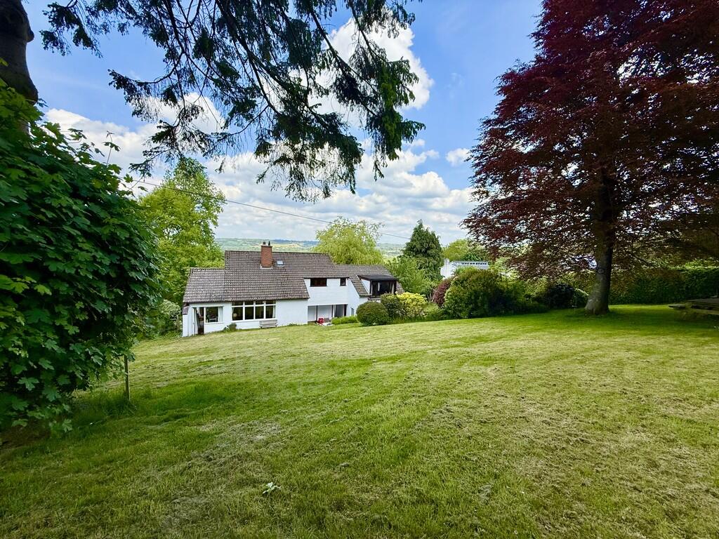 Back of Property