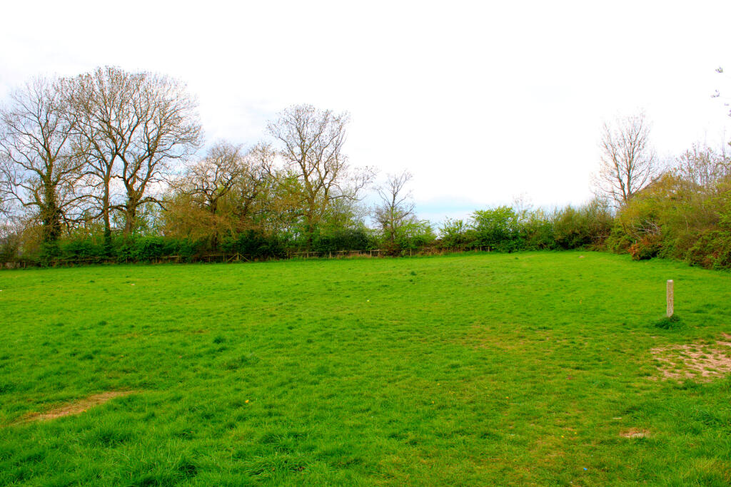 InShot_20250415_200210024
